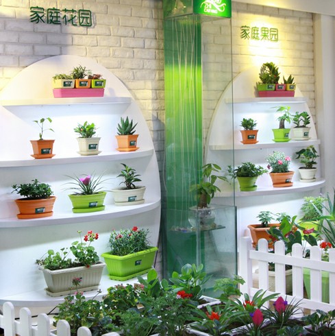 植彩坊智能园艺机 科技点亮绿色生活，室内种植新体验