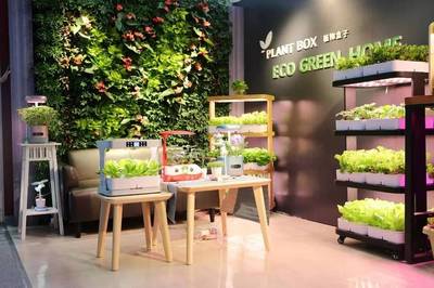 科技赋能园艺 植物盒子如何构建未来智能家居生态生活