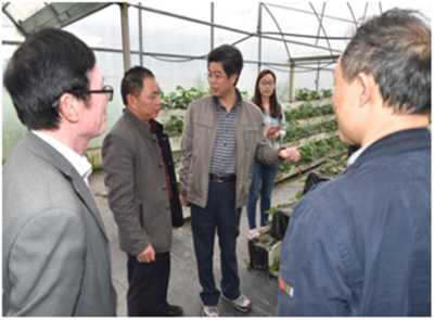 深耕产业一线，助力乡村振兴——园艺学院教工第二党支部赴周宁、政和开展党员活动日活动