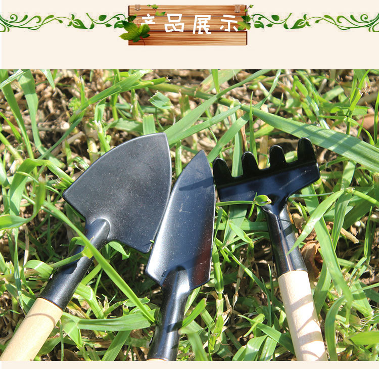 园艺新手必备 8800迷你工具三件套带你轻松入门多肉种植